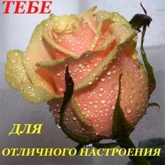  отличного настроения.jpg