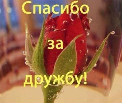  дружбу.jpg